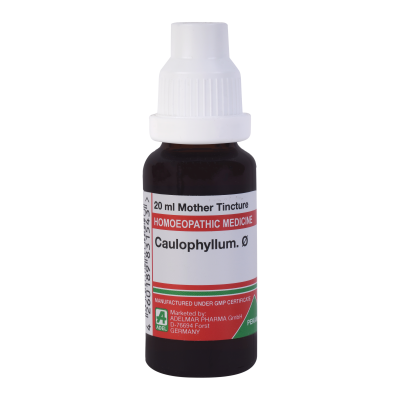 Caulophyllum Thalictroides 1X (Q) (20ml)